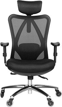 Duramont Ergonomic Adjustable Office Chair with Lumbar Support