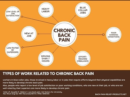 work related back pain statistics