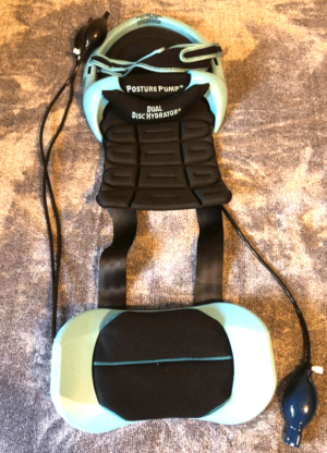 posture pump dual disk hydrator review